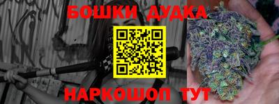 a pvp Обь