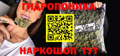 a pvp Обь