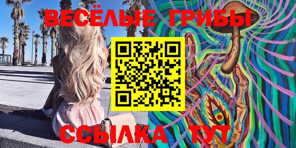 Псилоцибиновые грибы MAGIC MUSHROOMS  Вход с VPN  Галлюциногенные грибы GOLDEN TEACHER  Таганрог 